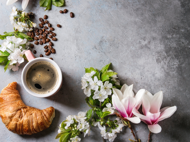 Mothers Day Southern Gold Coast Accommodation Where To Go For The Perfect Getaway