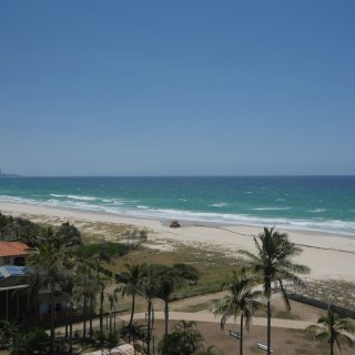 Princess Palms 1120571