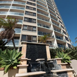 Princess Palms 1120734