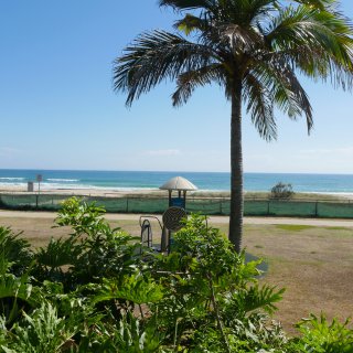 Princess Palms 1120750