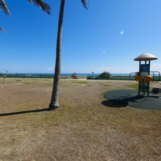 Princess Palms 1120765
