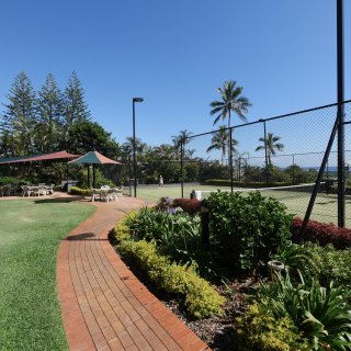 Princess Palms 1120784